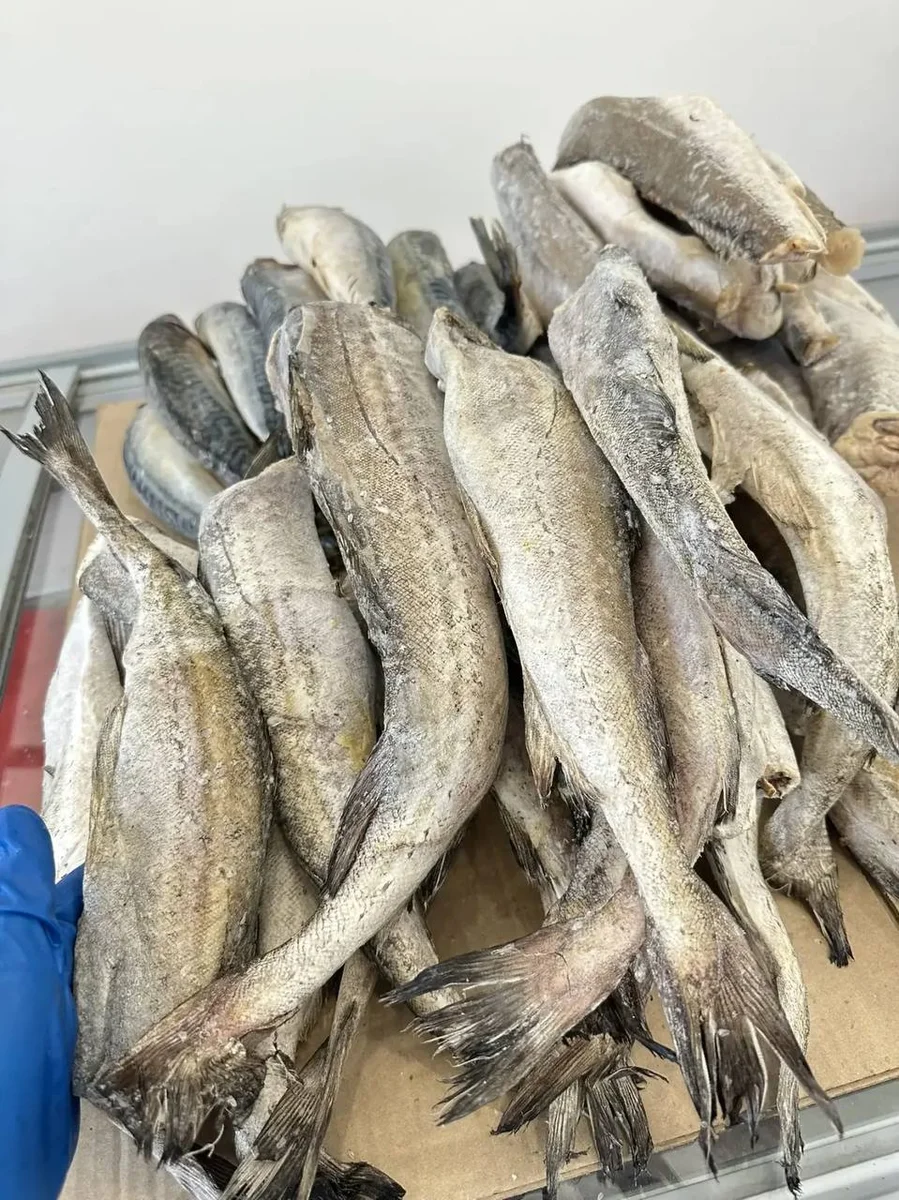 Свежемороженая белая рыба — Море рыбы, Казань