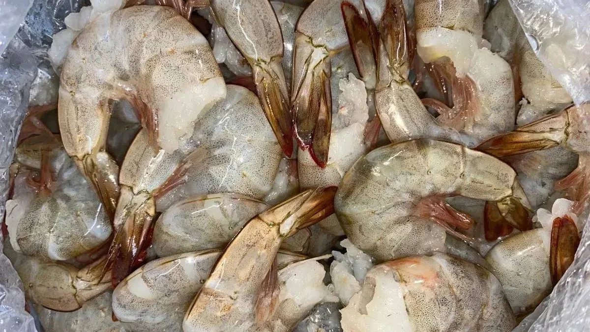 Северные креветки — Море рыбы, Казань